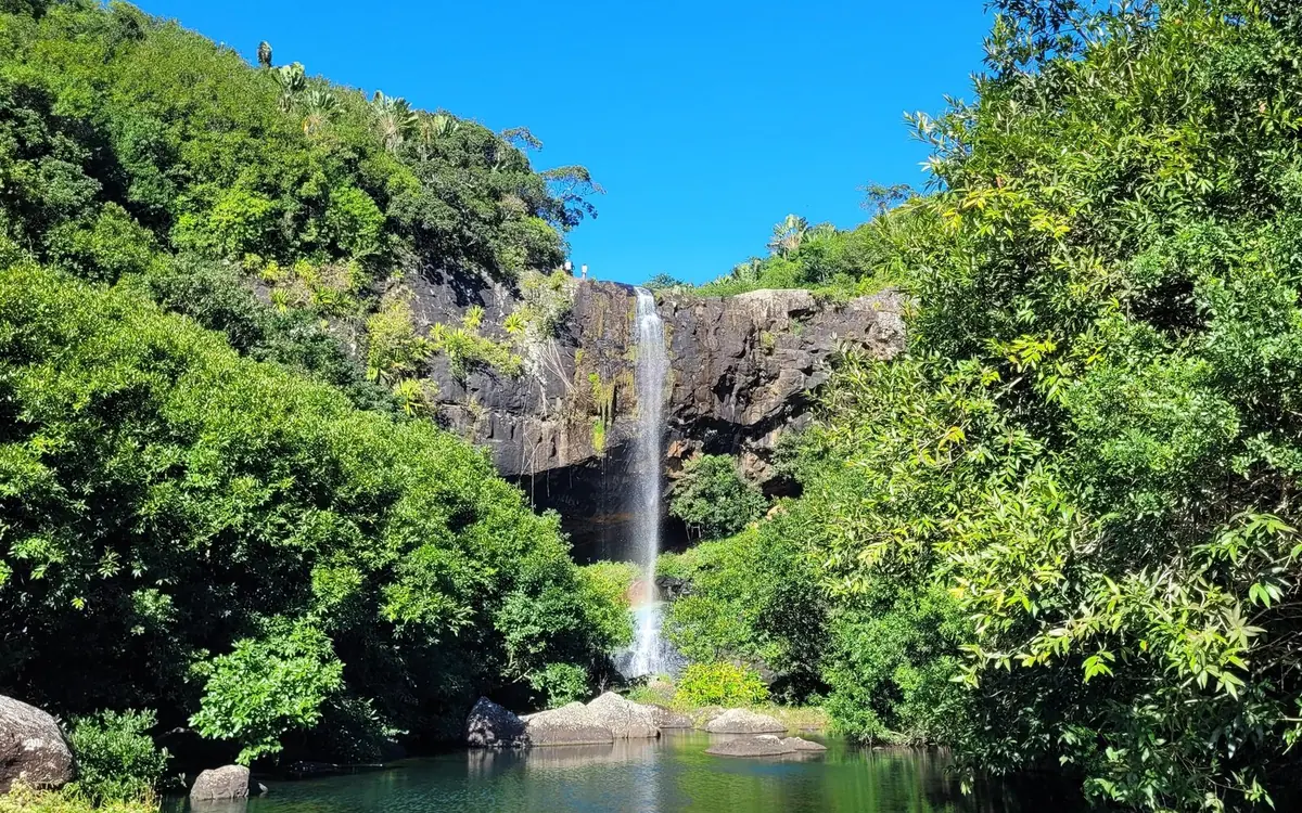 A waterfall dropping from a forested cliff into a pool below