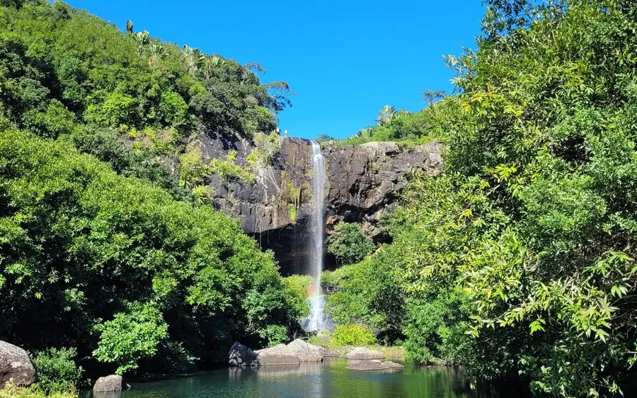 Une cascade tombant dans une gorge forestière verdoyante