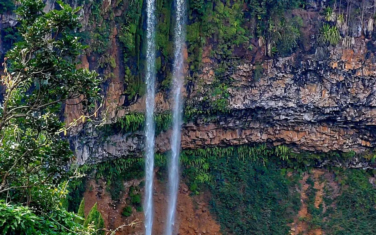 A waterfall dropping over a dark basalt ledge into thick green forest in the south of Mauritius